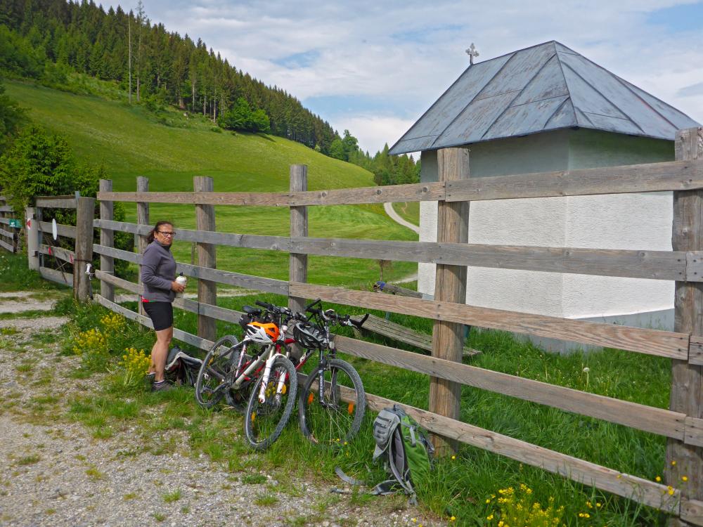 Großer Steinberg (118 Bildaufrufe)