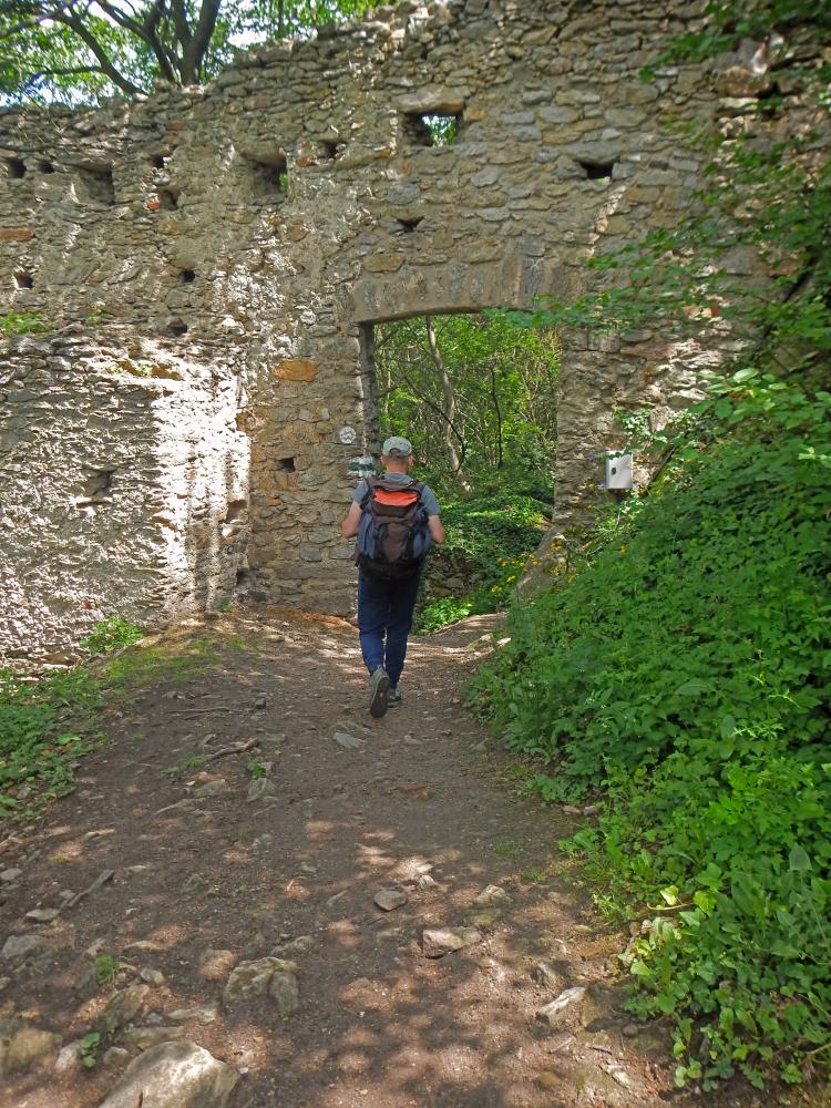 Dürnstein (116 Bildaufrufe)