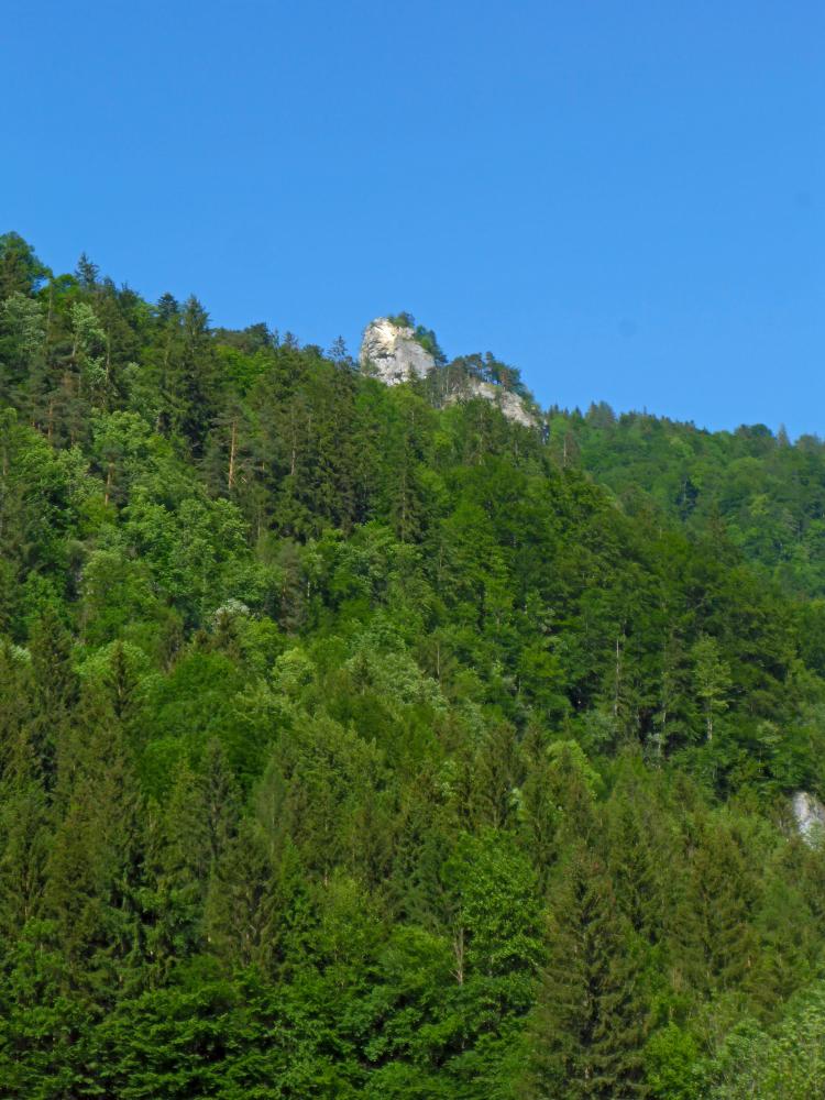 Teufelskanzel (127 Bildaufrufe)
