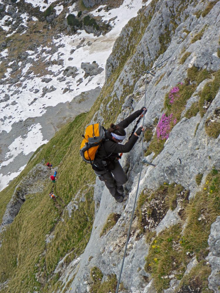Hochiss (154 Bildaufrufe)