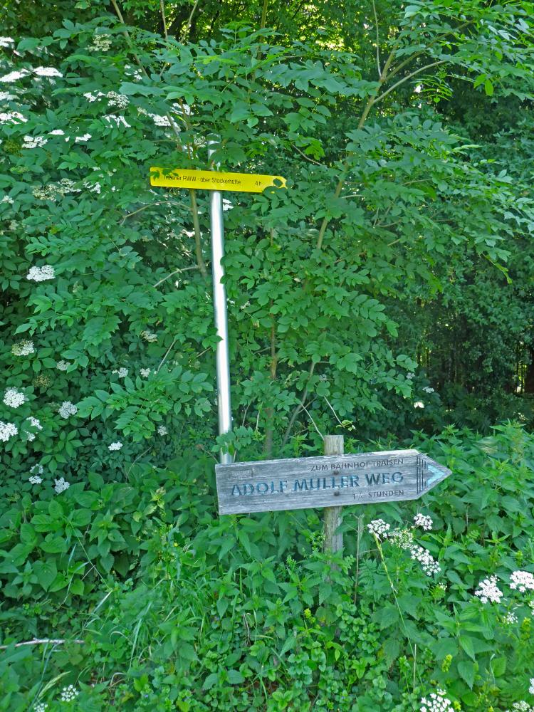 Steinwandleiten (154 Bildaufrufe)