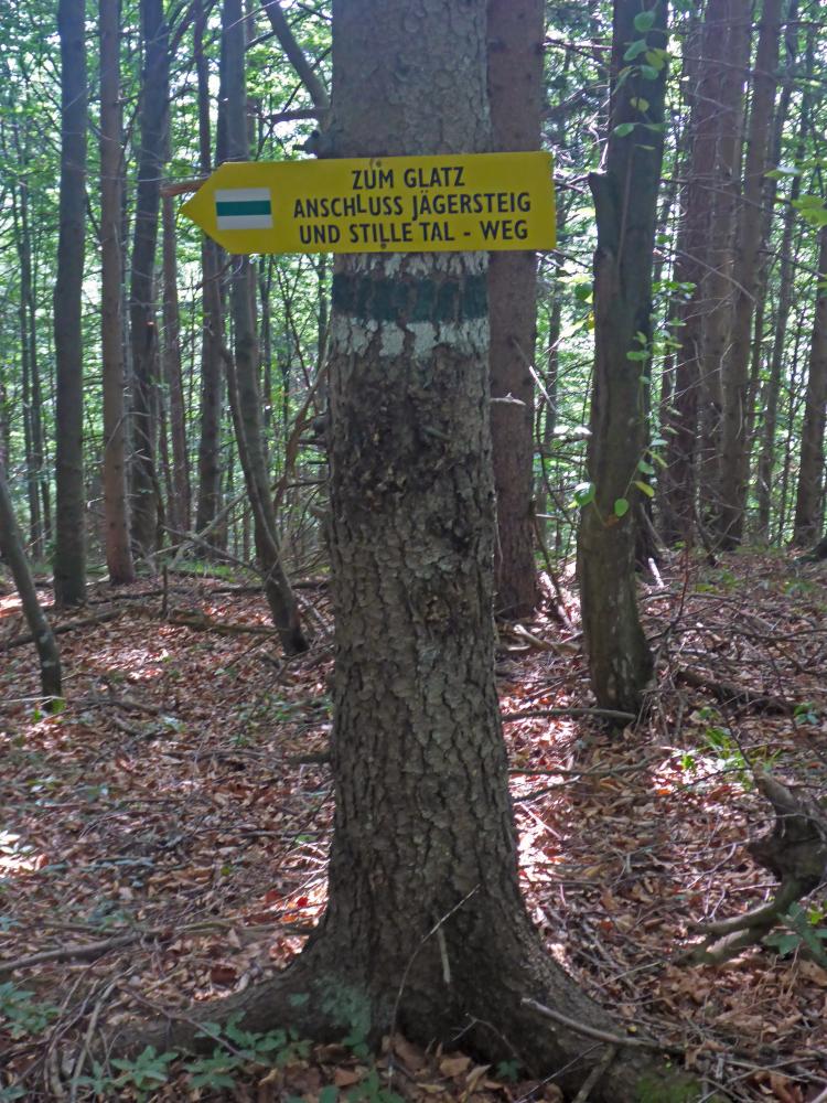 Spitzbrandkogel (124 Bildaufrufe)