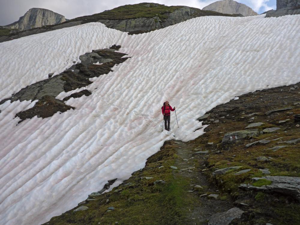 Gr.Muntanitz (146 Bildaufrufe)