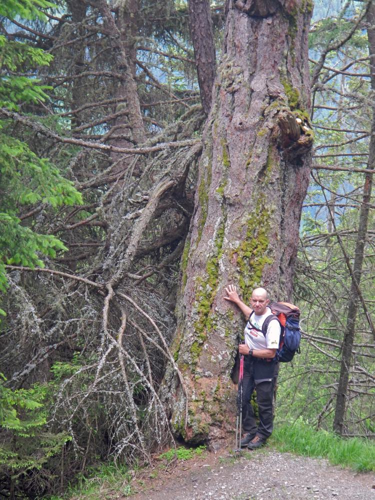 Gr.Muntanitz (119 Bildaufrufe)