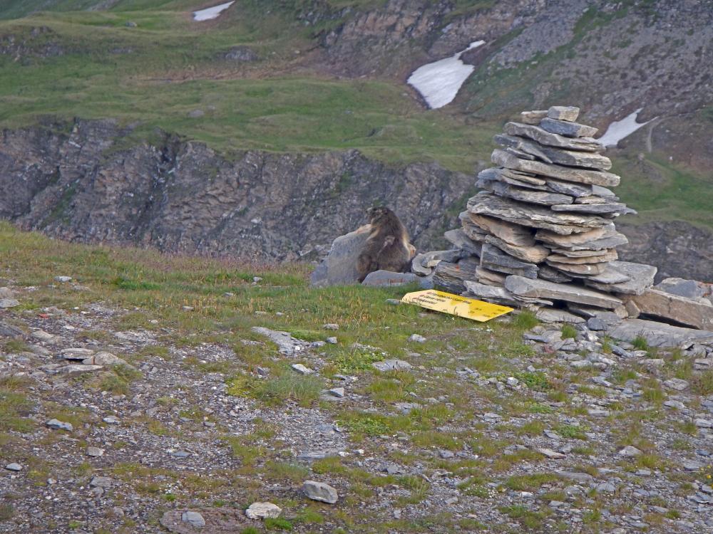 Salmhütte (136 Bildaufrufe)