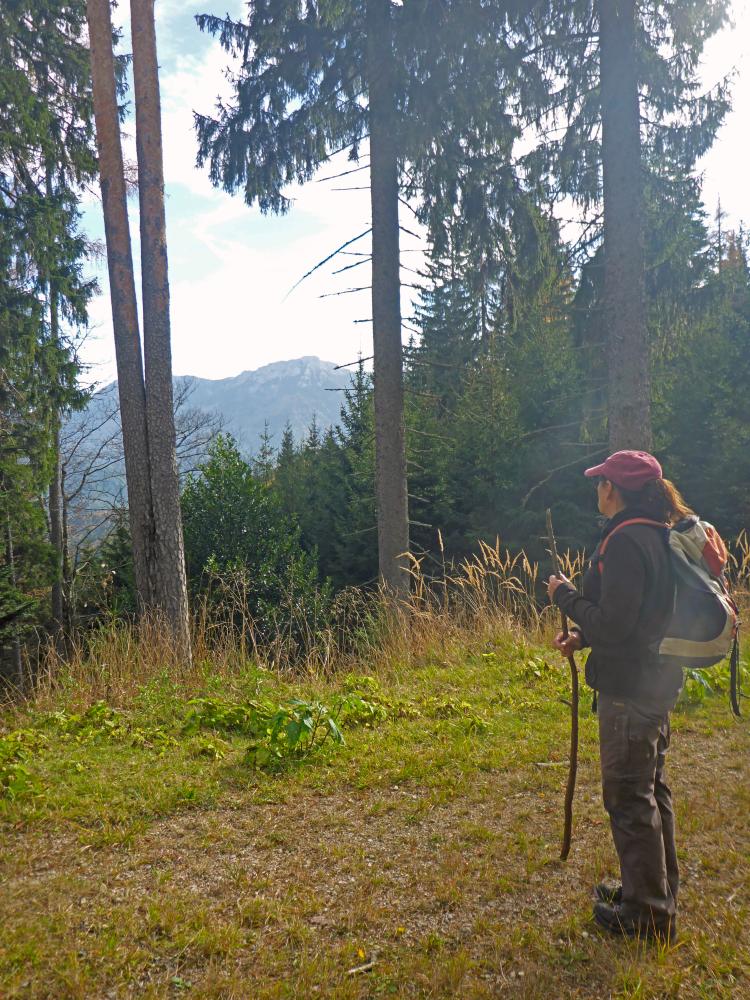 Sonnberg (136 Bildaufrufe)
