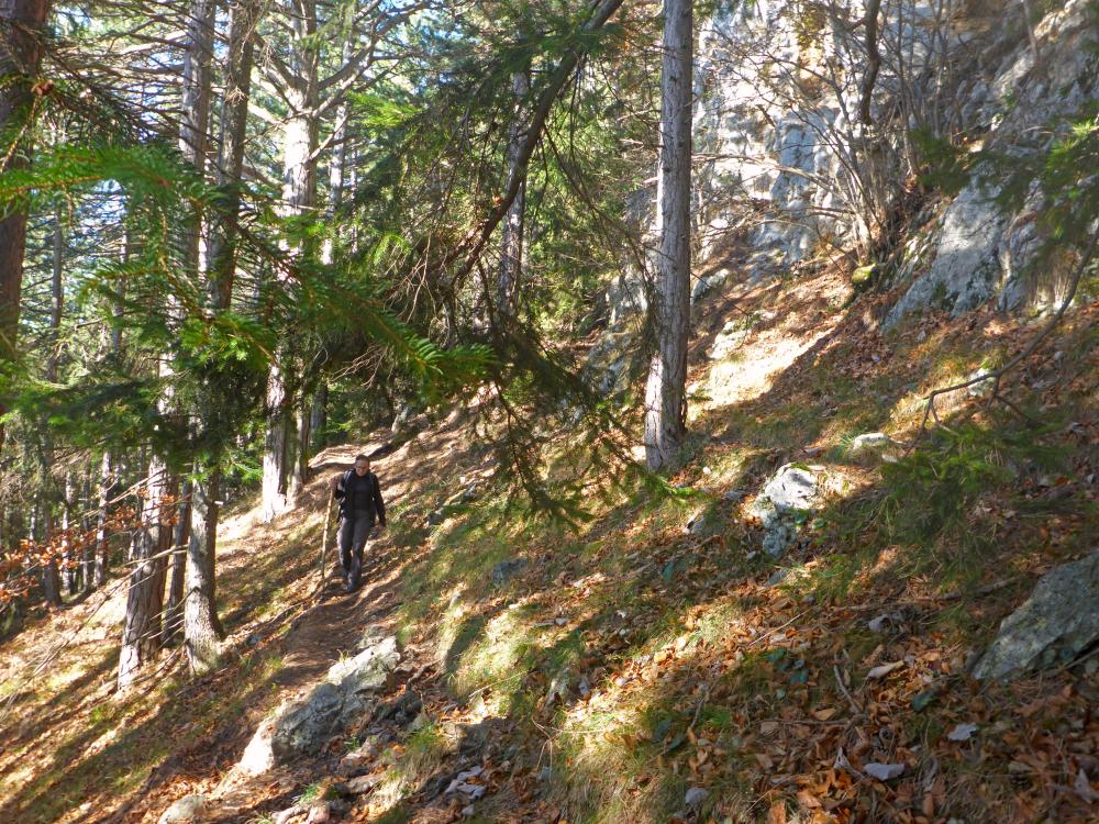 Hohe Wand (162 Bildaufrufe)