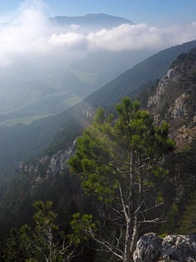 Hohe Wand (135 Bildaufrufe)