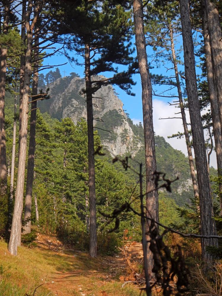 Hohe Wand (165 Bildaufrufe)