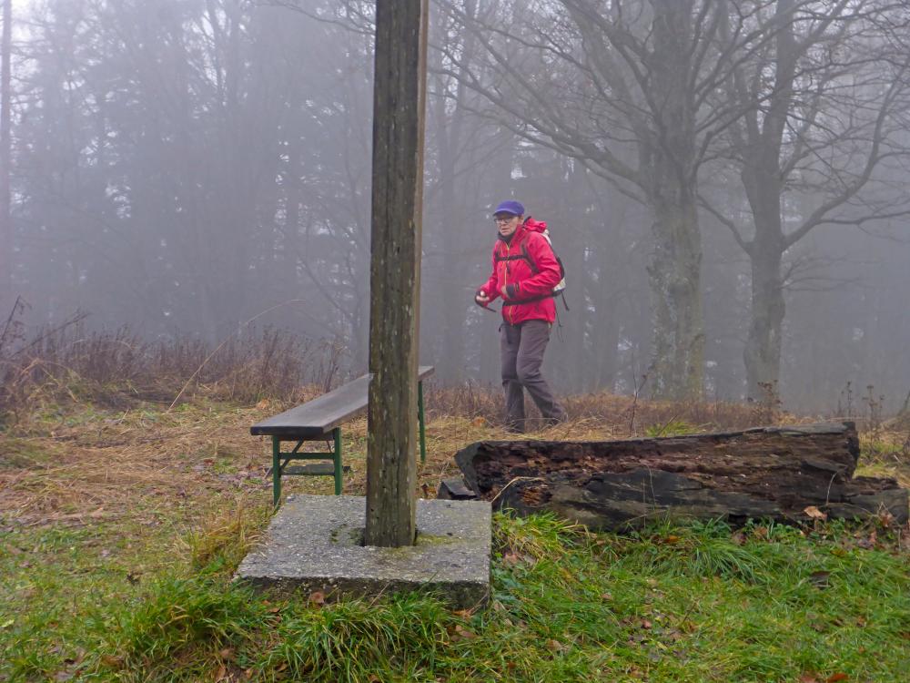Steinwandleiten (98 Bildaufrufe)