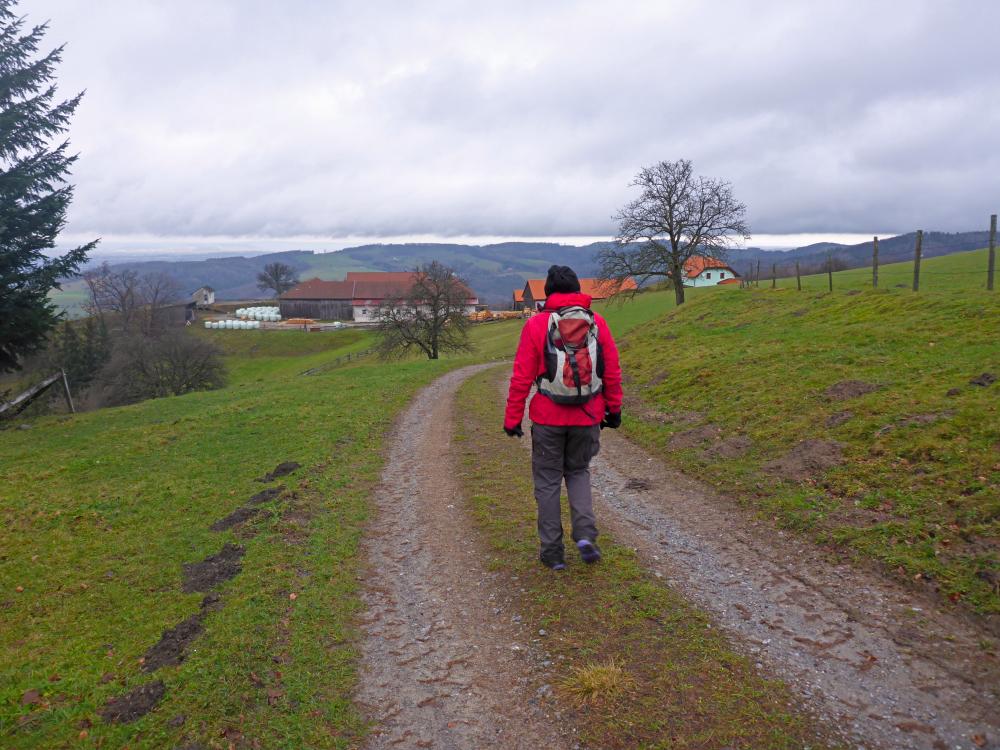 Steinwandleiten (128 Bildaufrufe)