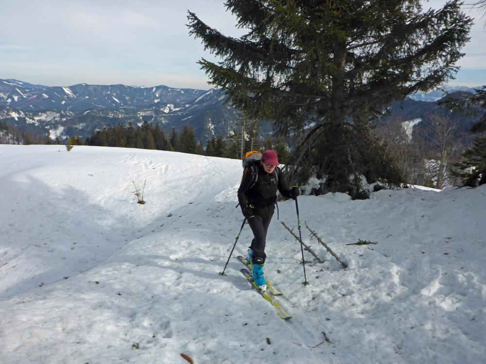 Tirolerkogel (95 Bildaufrufe)