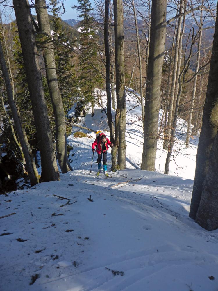 Stieglmauer (95 Bildaufrufe)