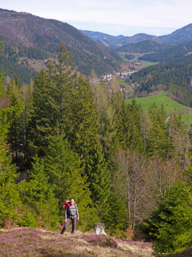 Klaushoferberg (93 Bildaufrufe)