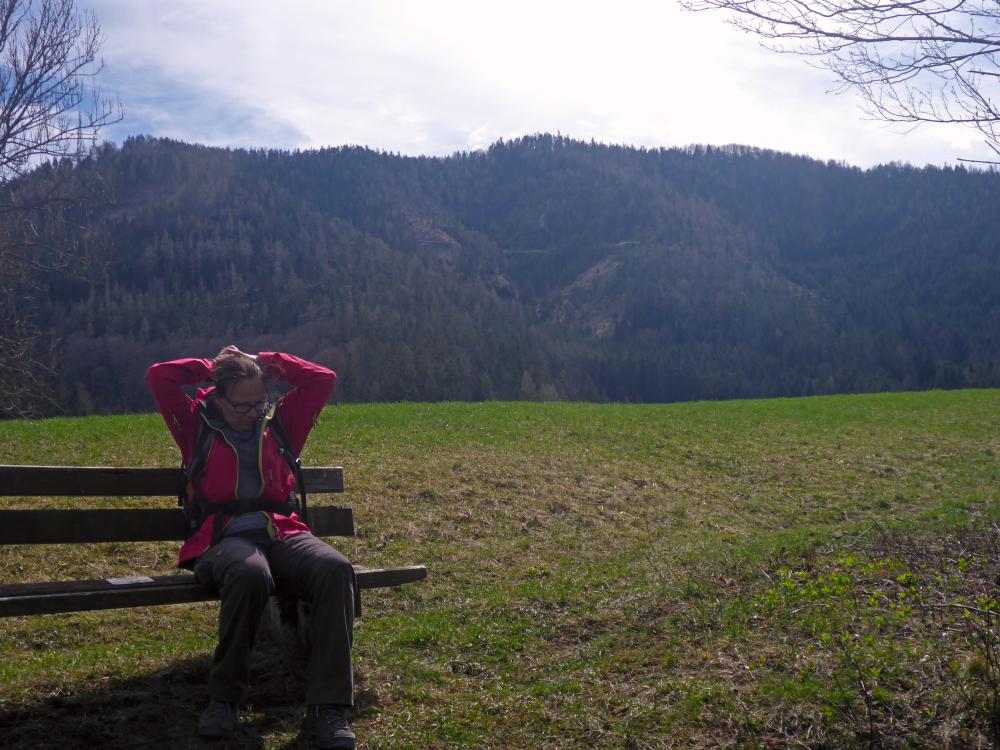Klaushoferberg (97 Bildaufrufe)