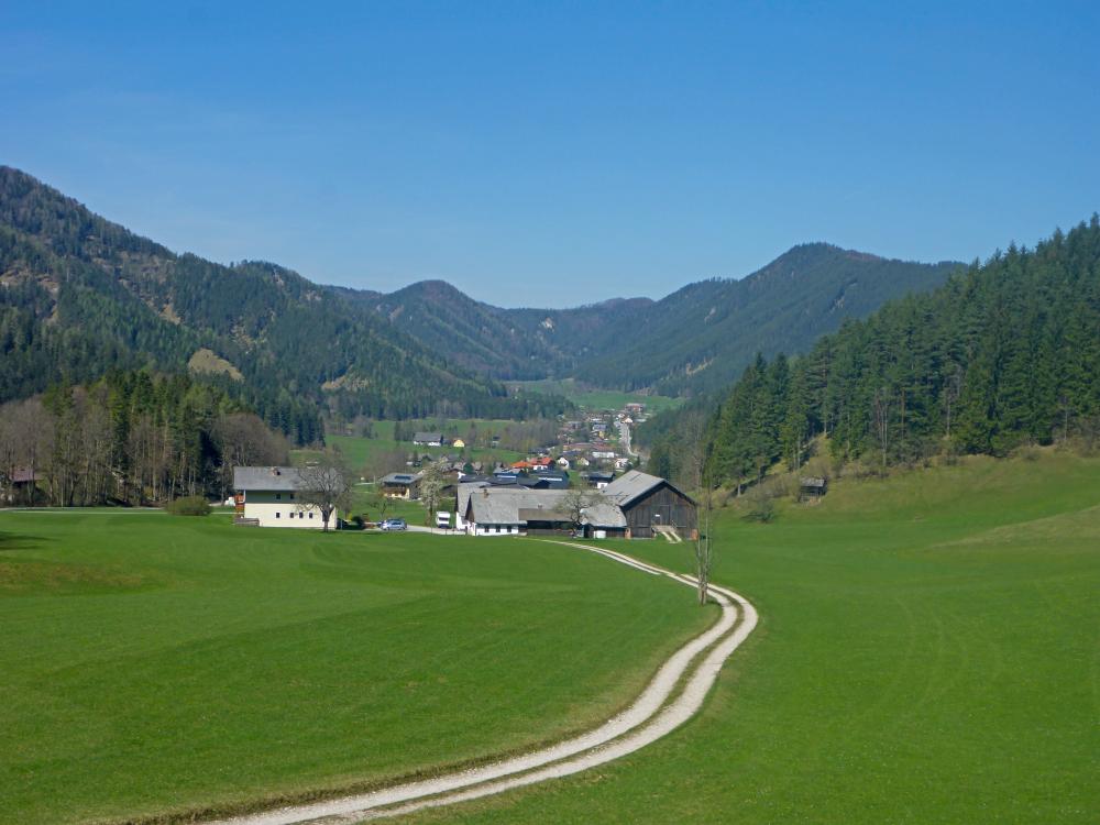 Hochsteinkogel (112 Bildaufrufe)