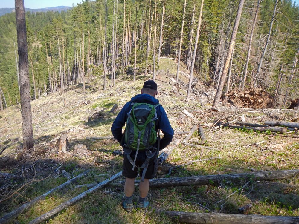 Hochsteinkogel (106 Bildaufrufe)