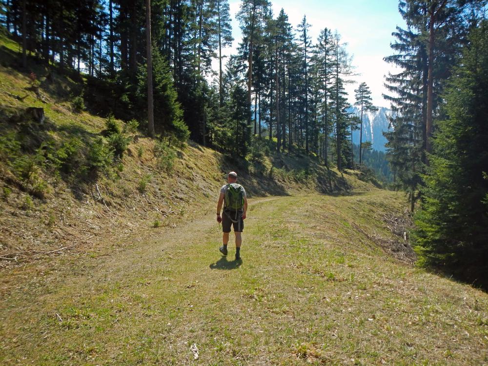 Hochsteinkogel (111 Bildaufrufe)