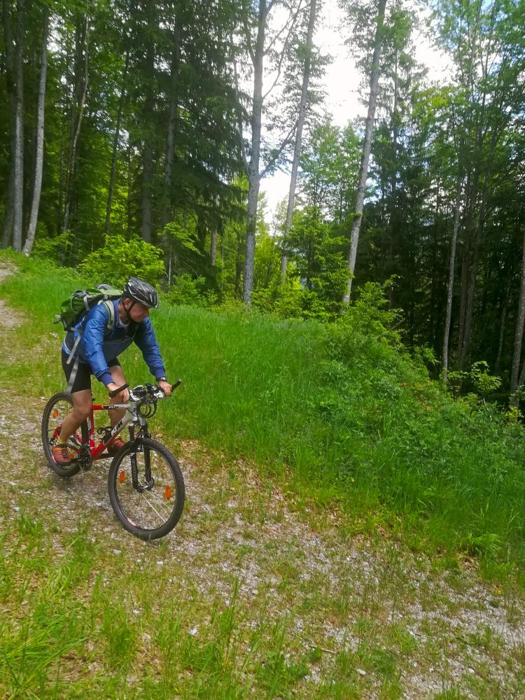 Hohenberg (76 Bildaufrufe)