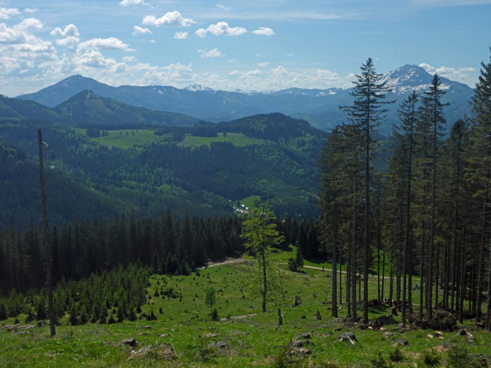 Scheiblingberg (83 Bildaufrufe)
