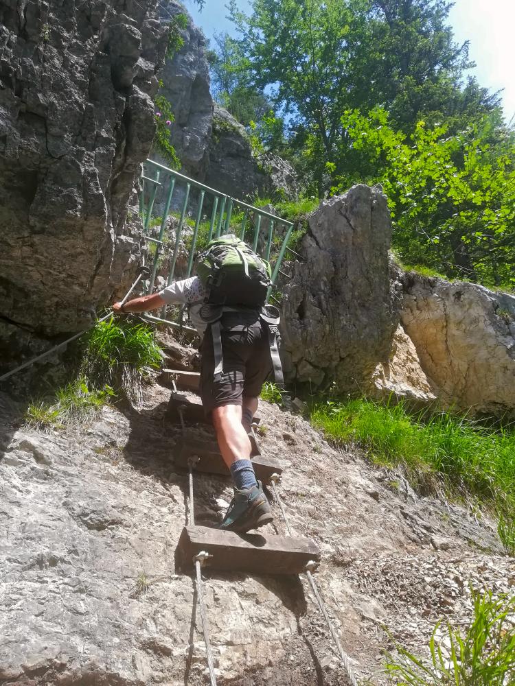 Kaisergams (121 Bildaufrufe)