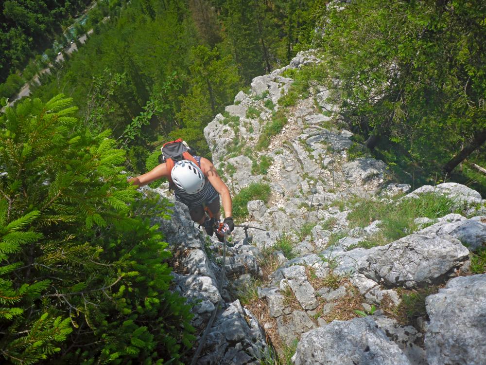 Kaisergams (134 Bildaufrufe)