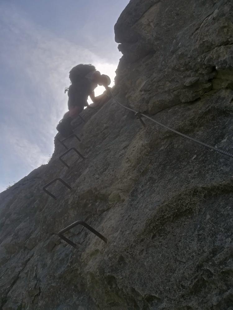 Kaisergams (97 Bildaufrufe)