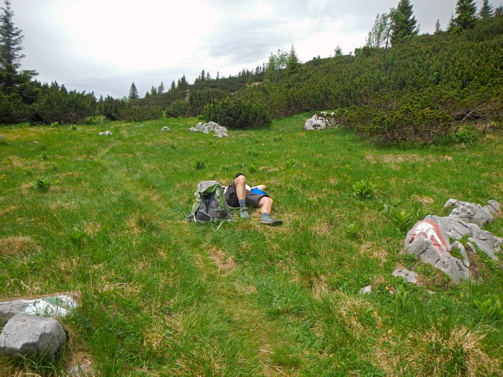 Rax (165 Bildaufrufe)