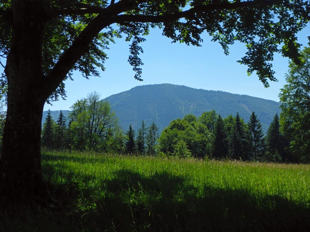 Hochkogel (61 Bildaufrufe)