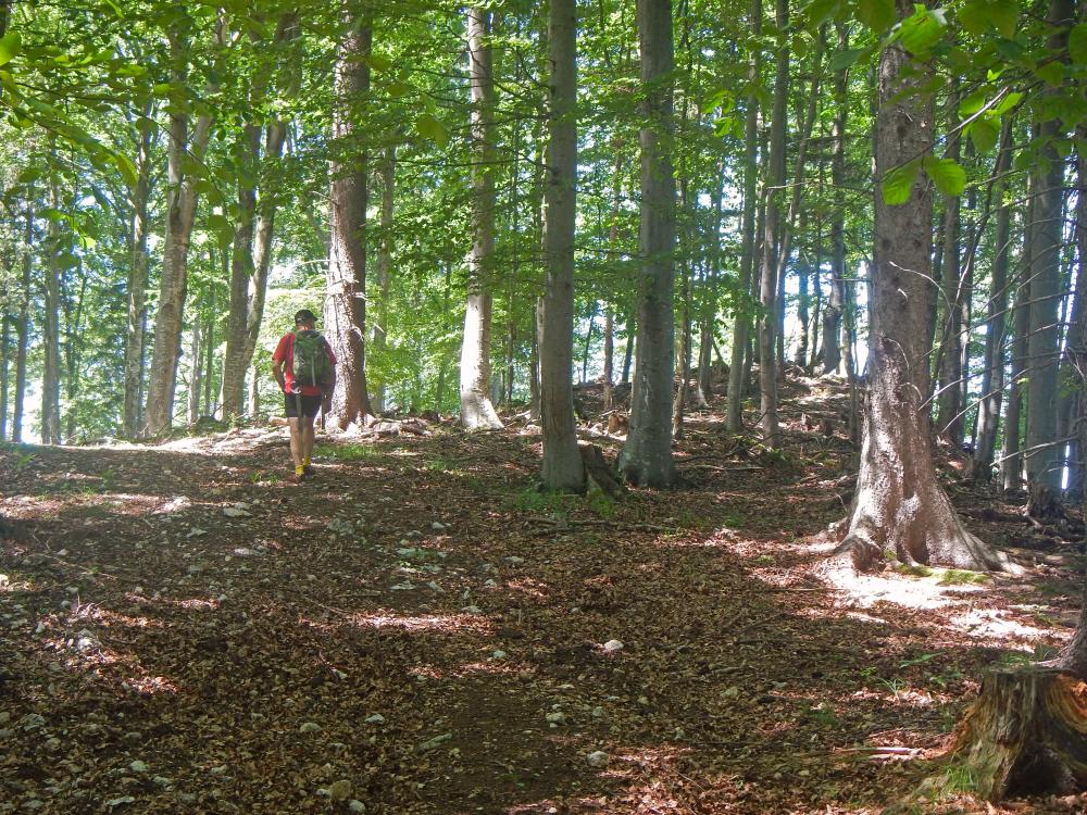 Hochkogel (68 Bildaufrufe)