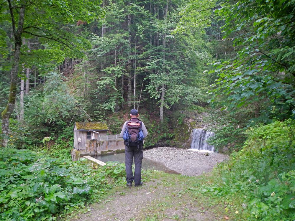 Reichenstein (95 Bildaufrufe)