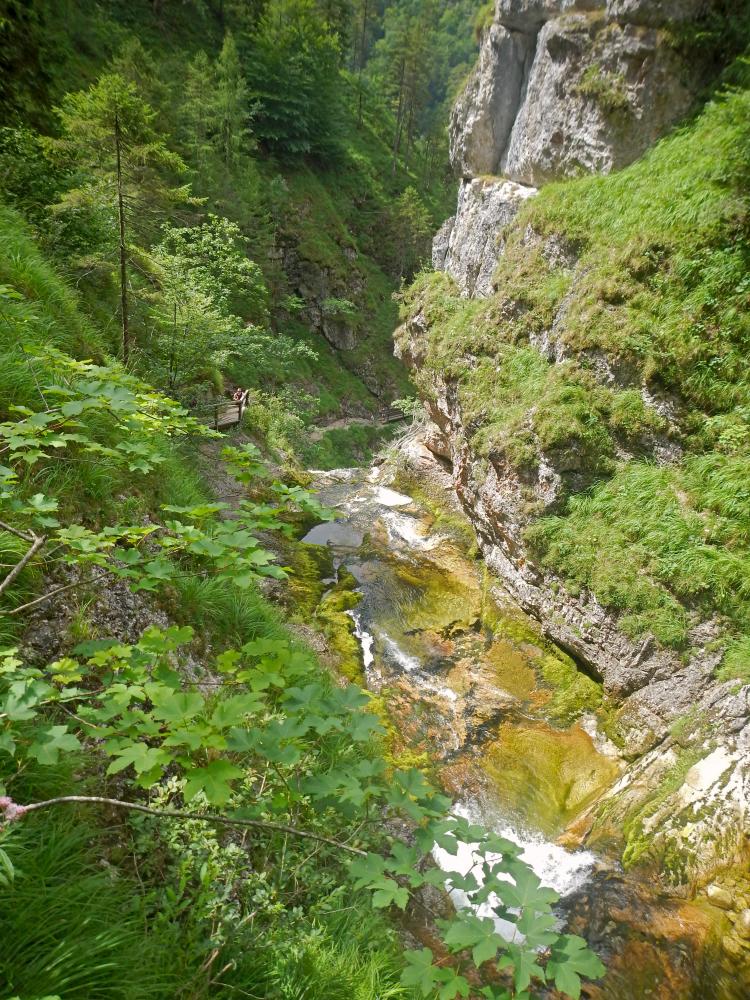Wasserloch (115 Bildaufrufe)