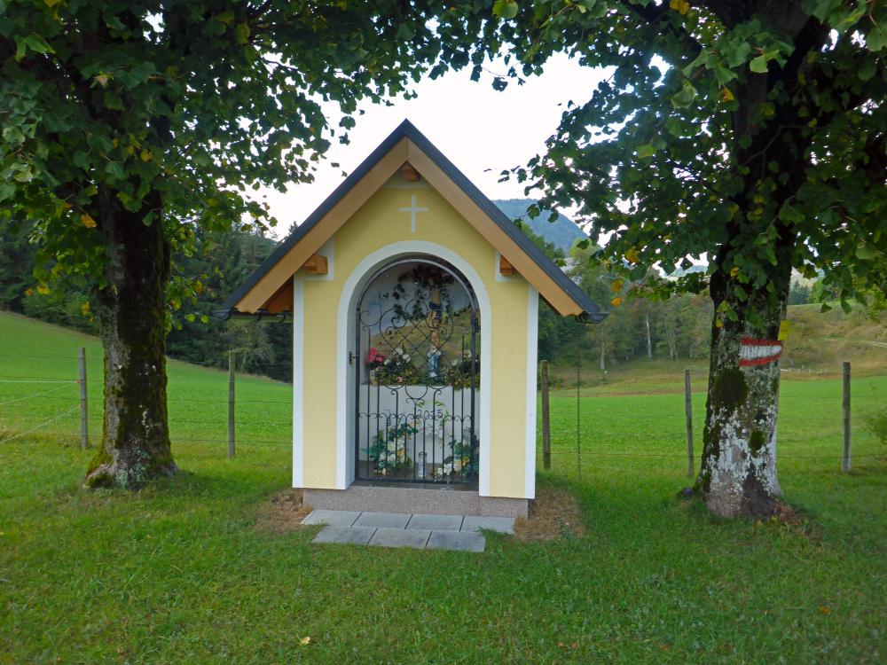 Hochgraser (121 Bildaufrufe)