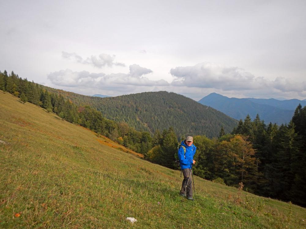 Hochgraser (122 Bildaufrufe)