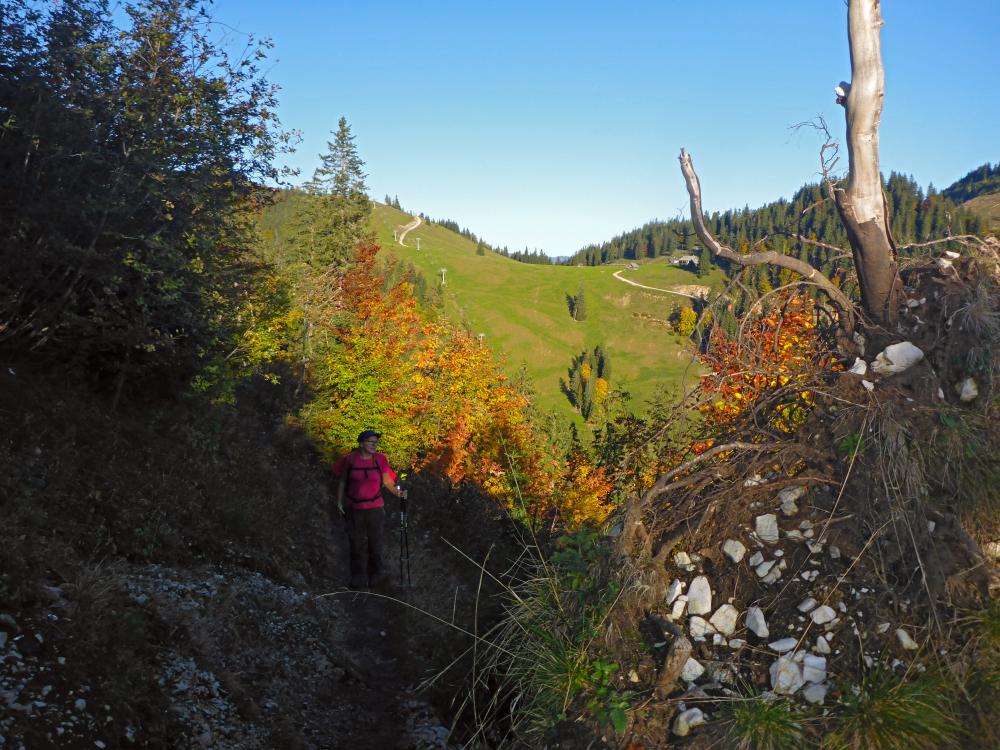 Hohe Veitsch (84 Bildaufrufe)