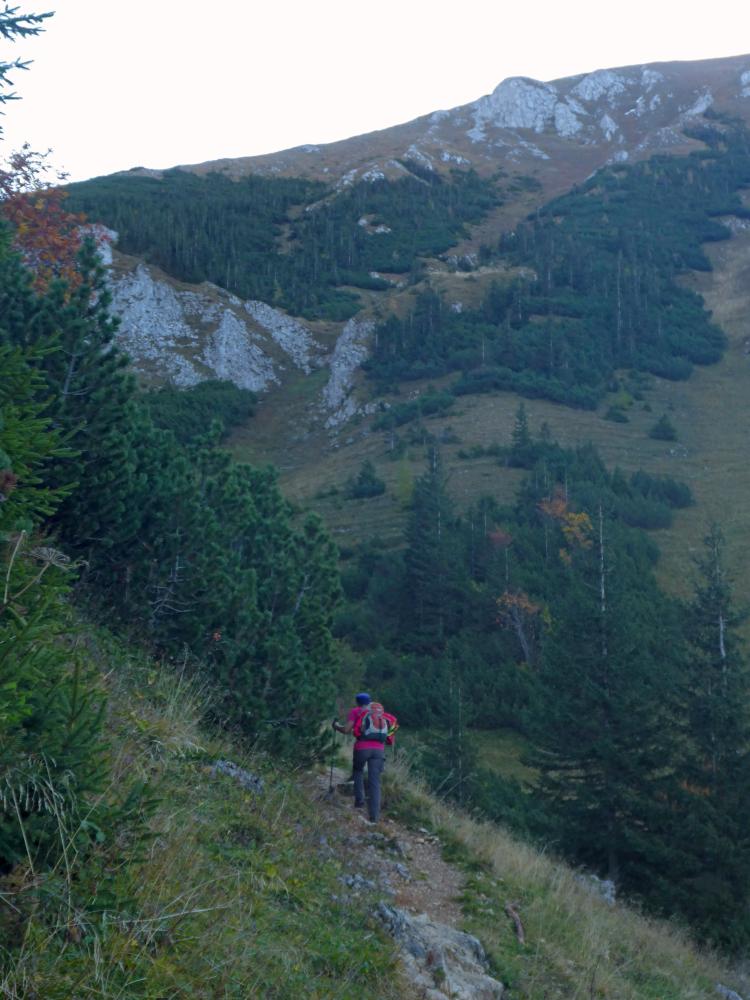 Hohe Veitsch (97 Bildaufrufe)