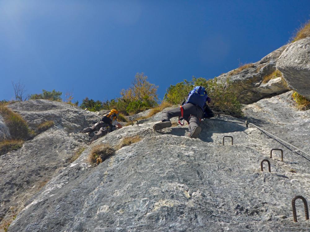 Spielmäuer (101 Bildaufrufe)