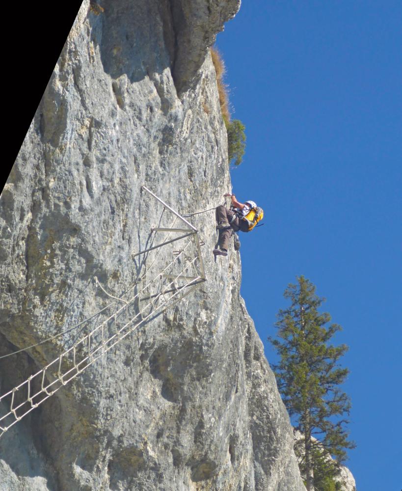 Spielmäuer (89 Bildaufrufe)