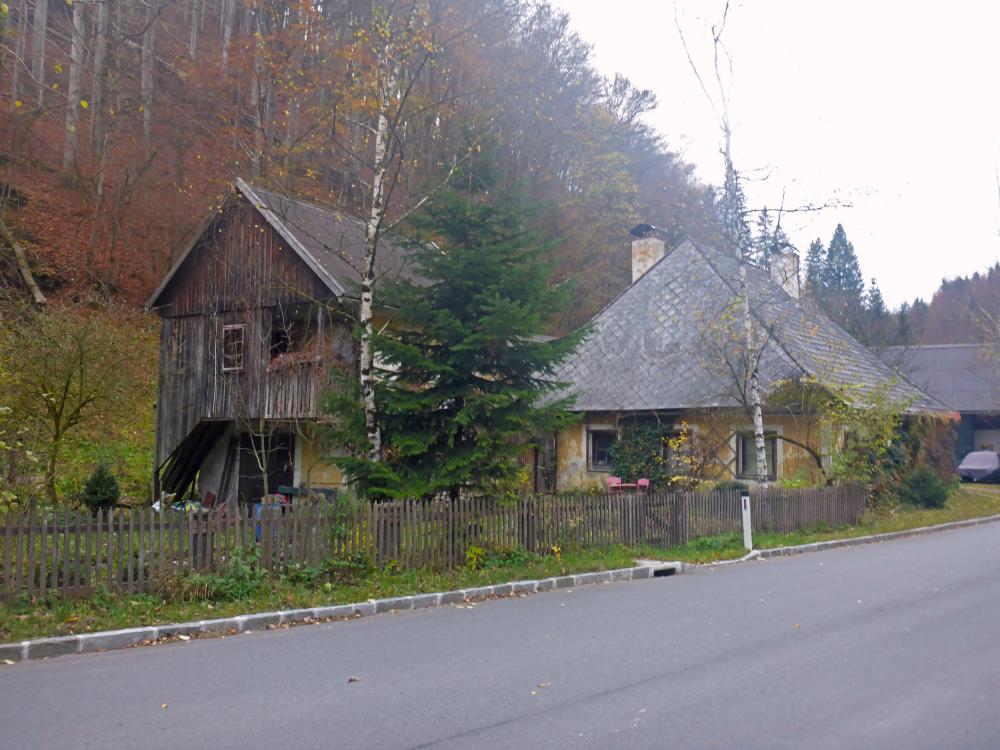 Bürgeralpe (81 Bildaufrufe)