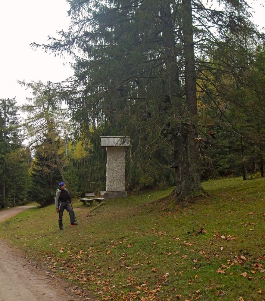 Bürgeralpe (87 Bildaufrufe)