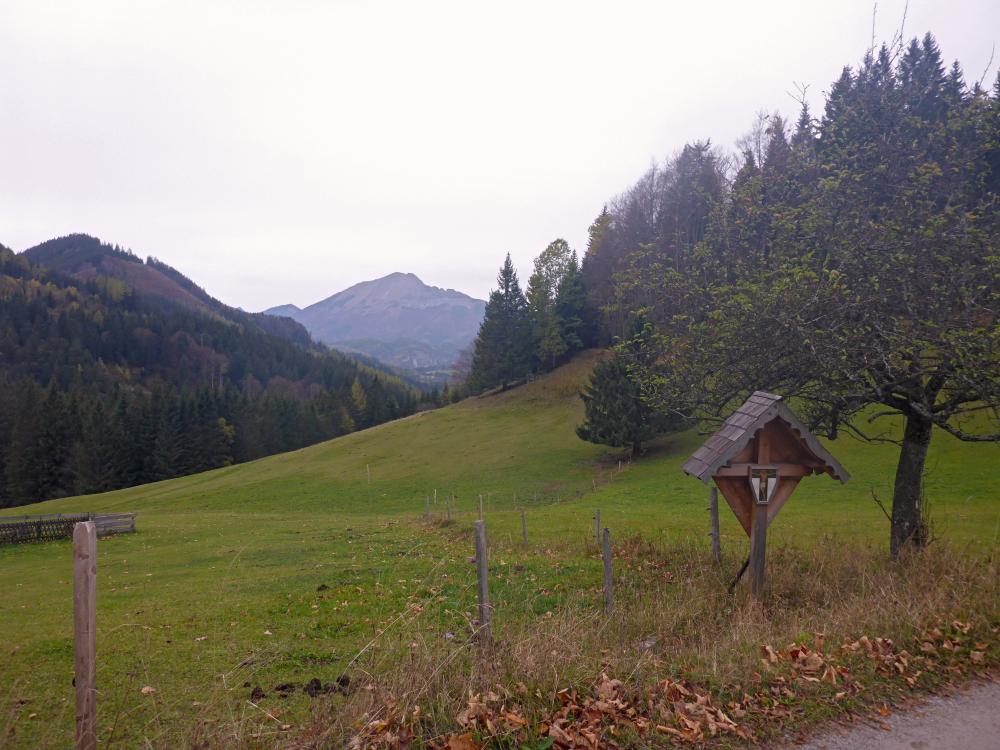 Bürgeralpe (64 Bildaufrufe)