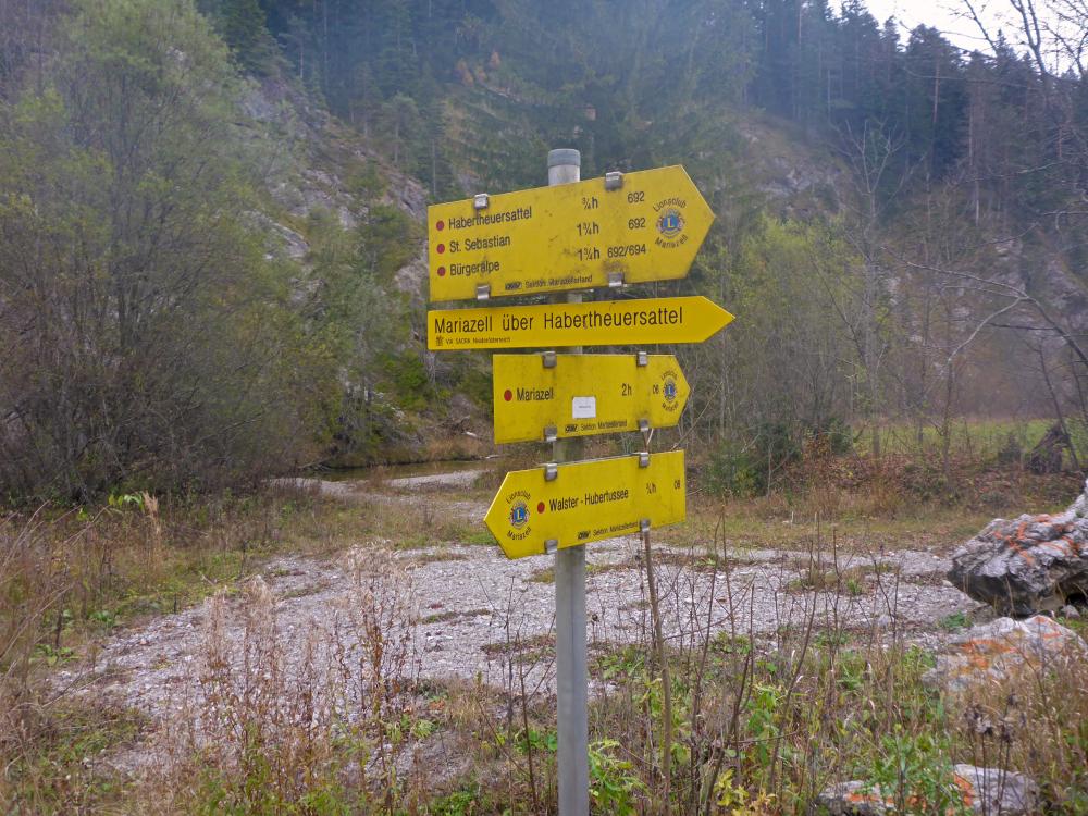 Bürgeralpe (83 Bildaufrufe)