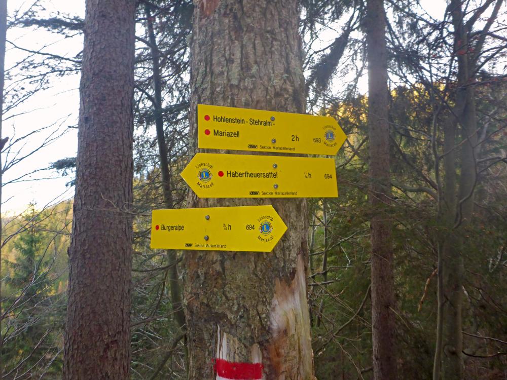 Bürgeralpe (98 Bildaufrufe)