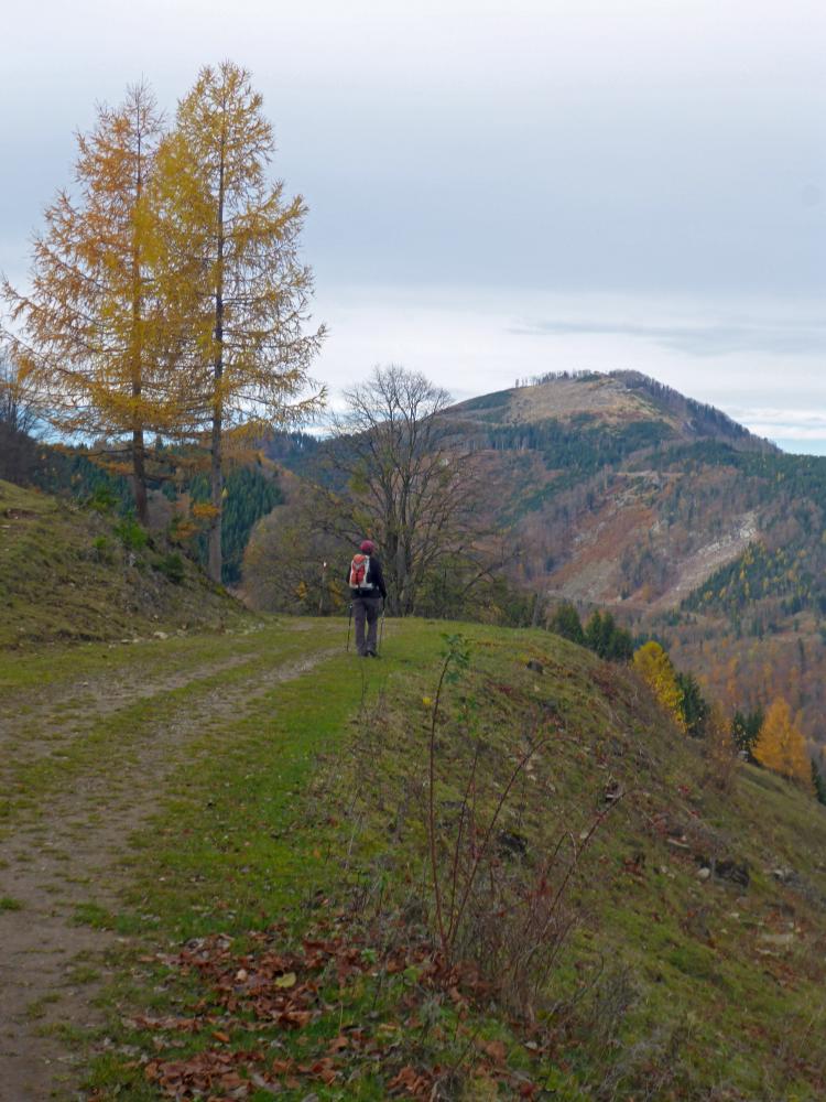 Hohenstein (95 Bildaufrufe)