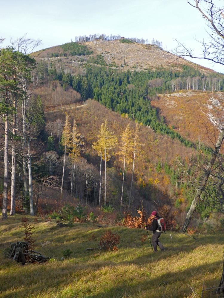 Hohenstein (133 Bildaufrufe)