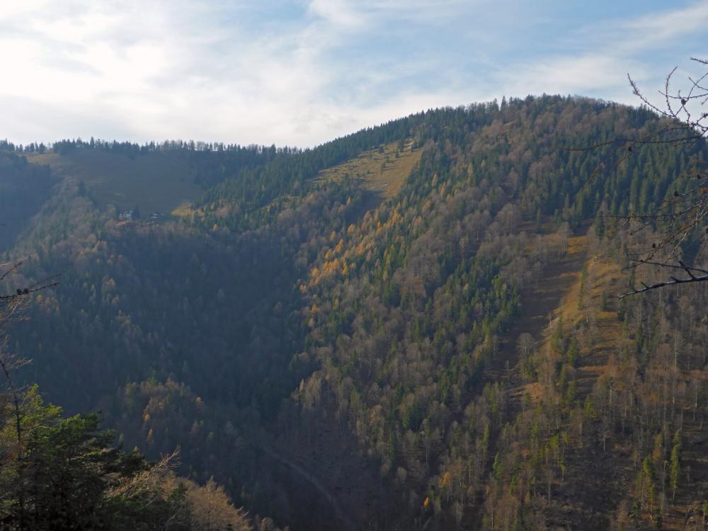 Stadelberg (117 Bildaufrufe)