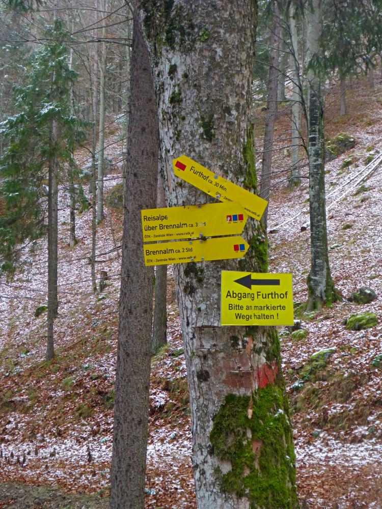 Weinberg (116 Bildaufrufe)