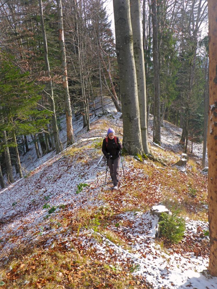 Weinberg (127 Bildaufrufe)