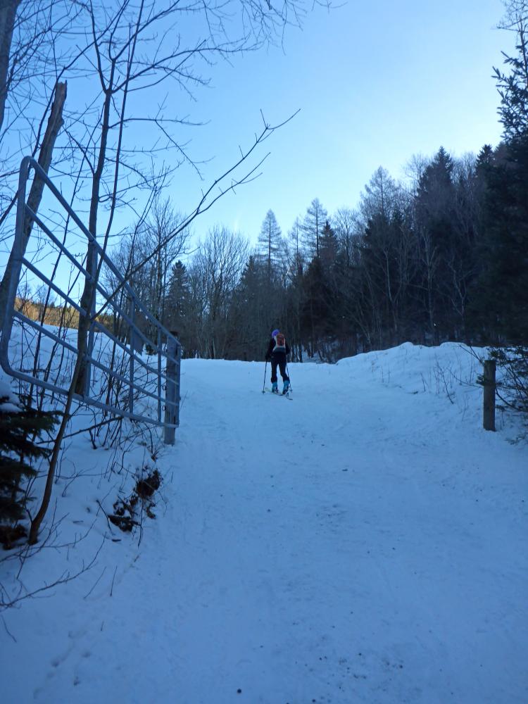 Tirolerkogel (135 Bildaufrufe)