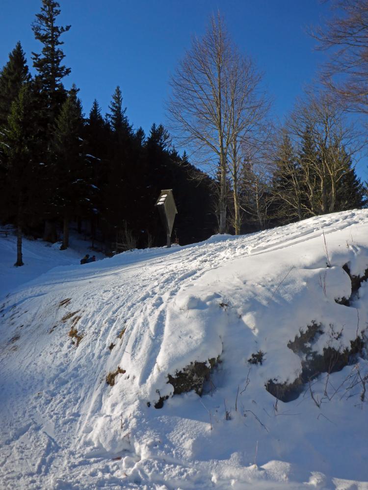 Tirolerkogel (117 Bildaufrufe)